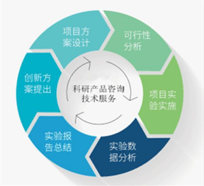 人半乳糖-3-O-磺基轉(zhuǎn)移酶2 功能、基因與臨床意義探析