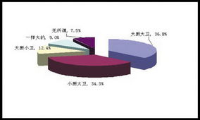 2007年沈陽百姓購房需求與市場觀察非官方調(diào)查紀(jì)實(shí)